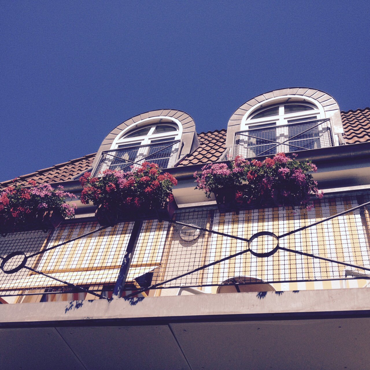 Parkhotel Flora-官方