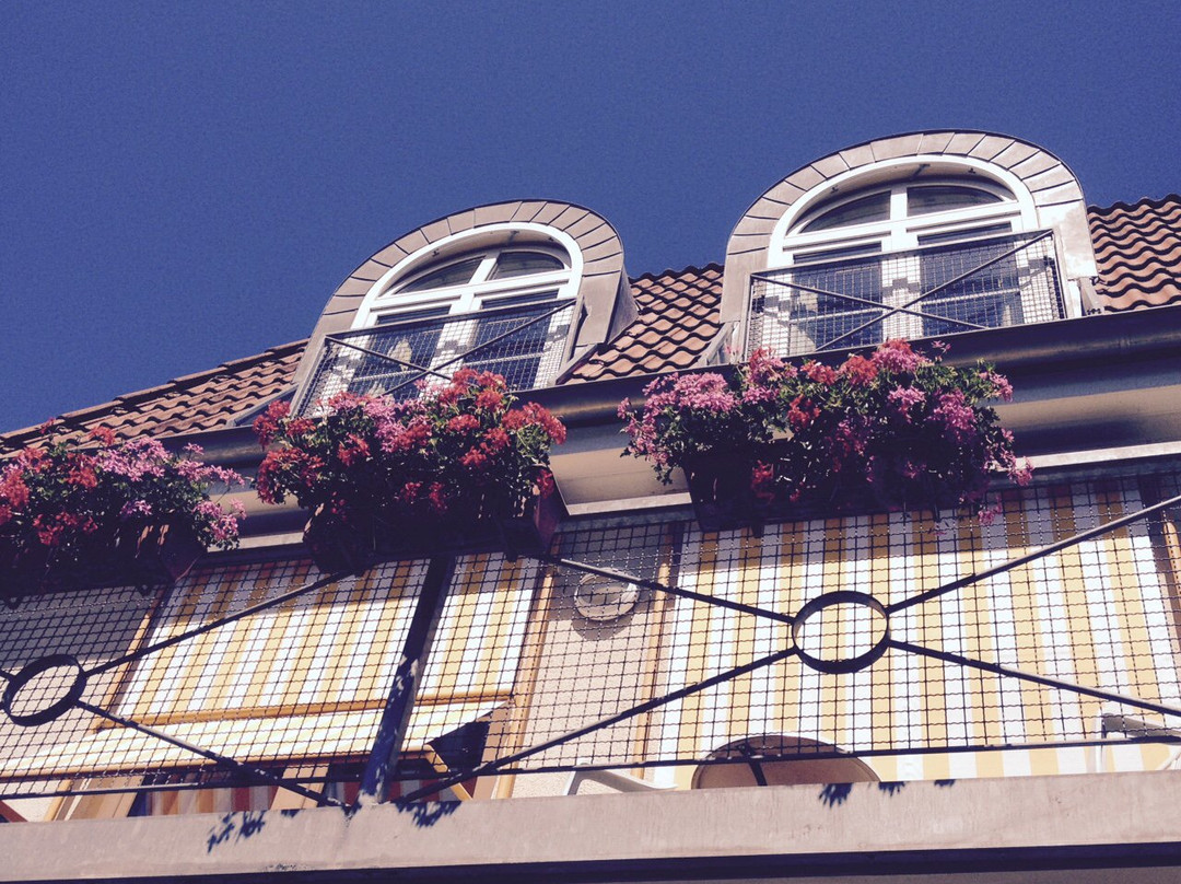 Bad Grund酒店住宿-Parkhotel Flora