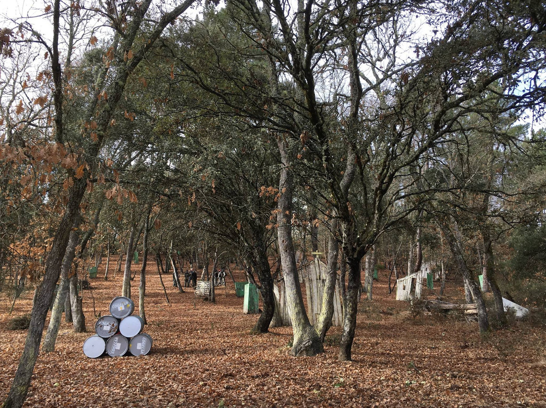 Karting Cabanas Raras-蓬费拉达必去景点