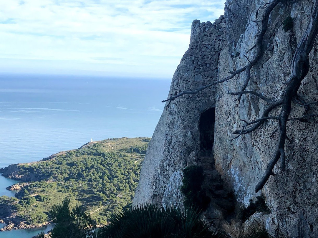 Sa Penya Rotja景点图片