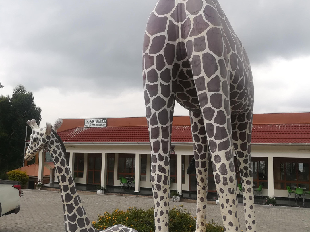 Bigfoot Adventures-Kasese必去景点