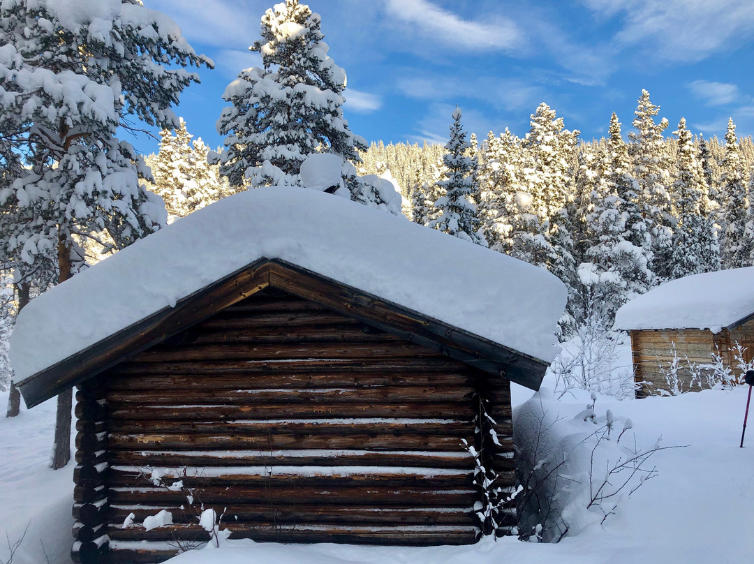 NordTrek