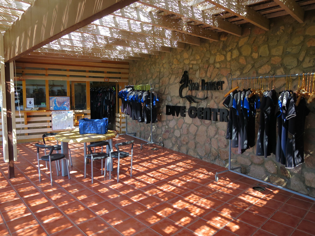 Sea Dancer Dive Resort-达哈卜必去景点