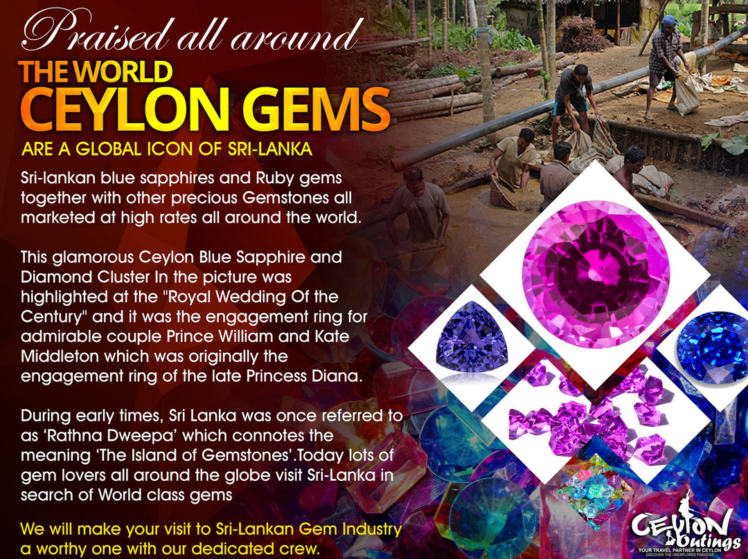 Ceylon Outings-乌纳瓦图纳必去景点