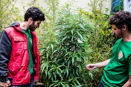 WeedTour-蒙得维的亚必去景点