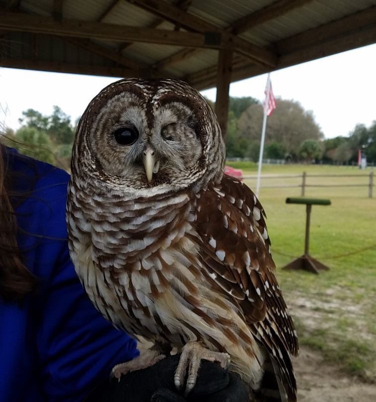 Avian Reconditioning Center-Apopka必去景点