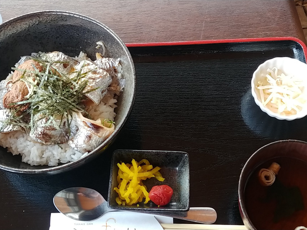 有田市餐馆和美食-Terrace Cafe Rice Field