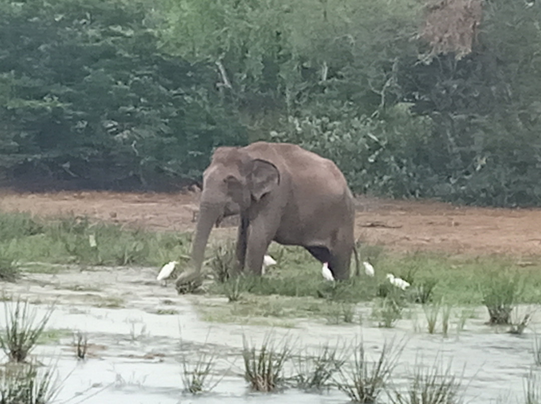 Lagoon Inn & Restaurant主图