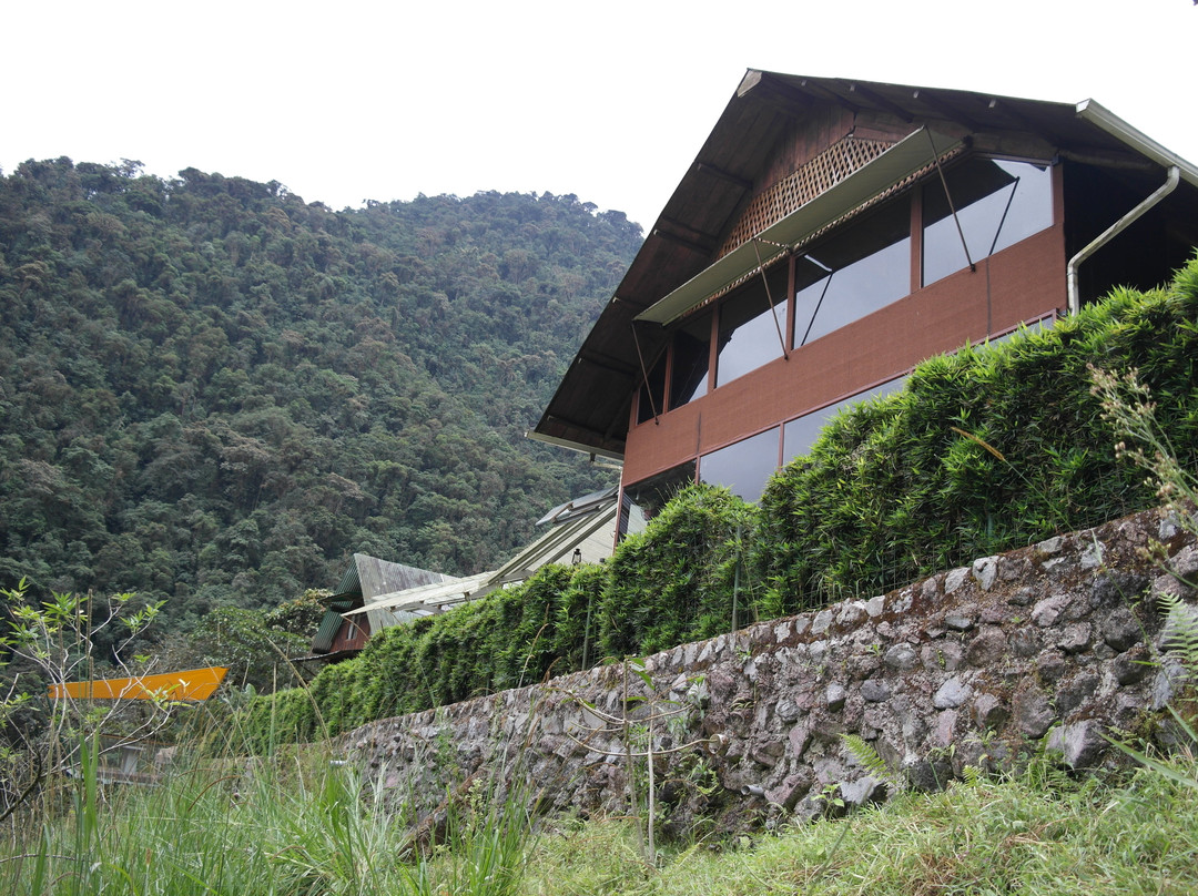Tambo Tanda-基多必去景点