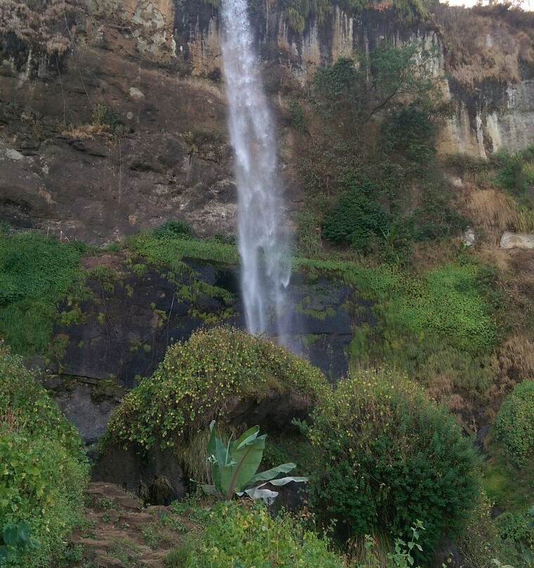 Fredson's Homestay主图