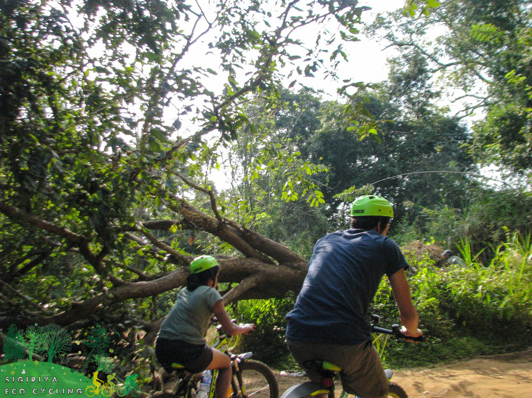 Sigiriya Eco Cycling-锡吉里亚必去景点