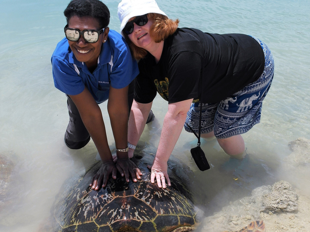 Turtle Reef Vanuatu-维拉港必去景点