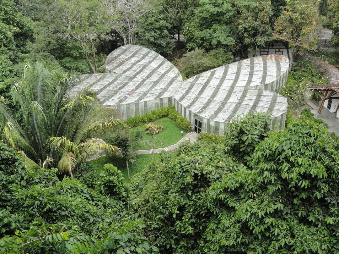 Jardín Botánico del Quindío景点图片