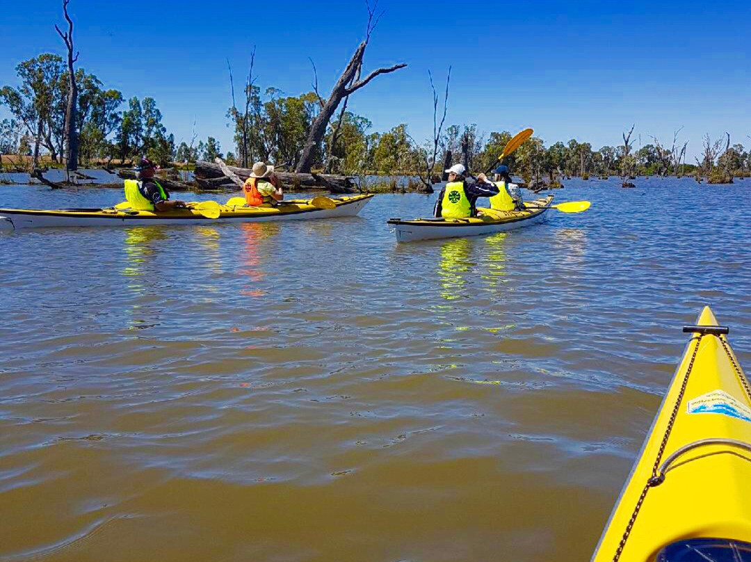 Murray River Adventures-Cohuna必去景点