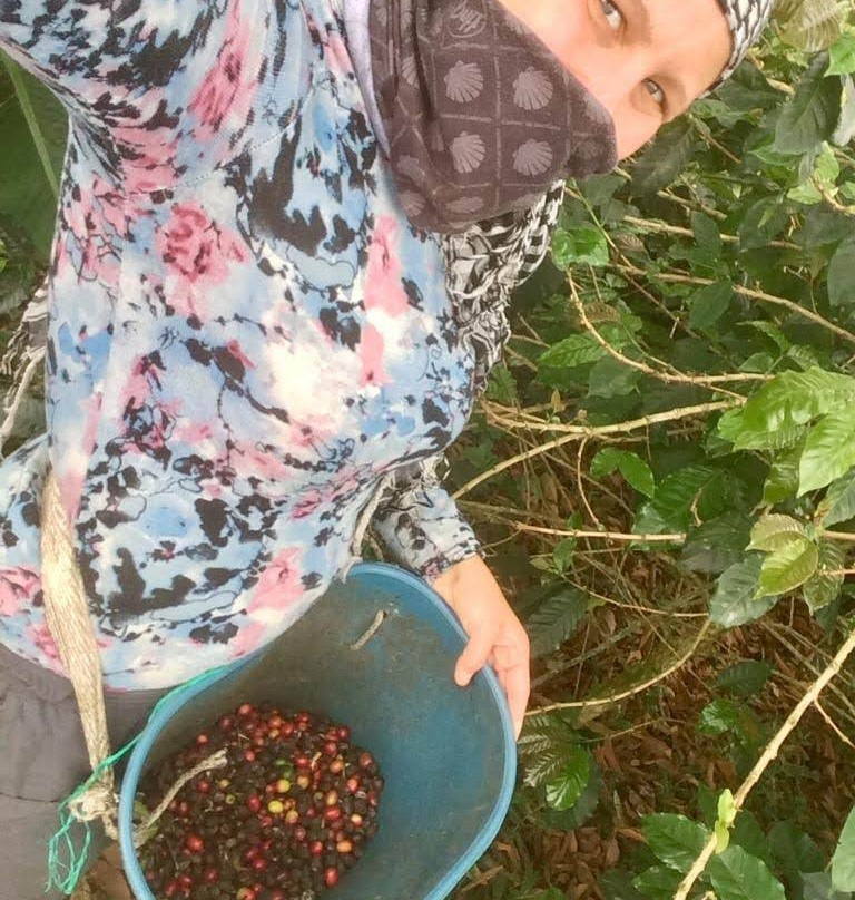 Quiero Viajar Co-Cocora必去景点