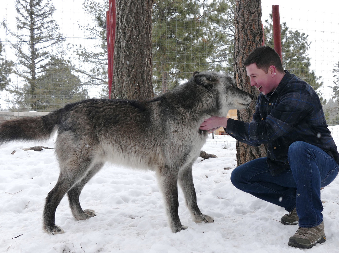 Colorado Wolf and Wildlife Center景点图片