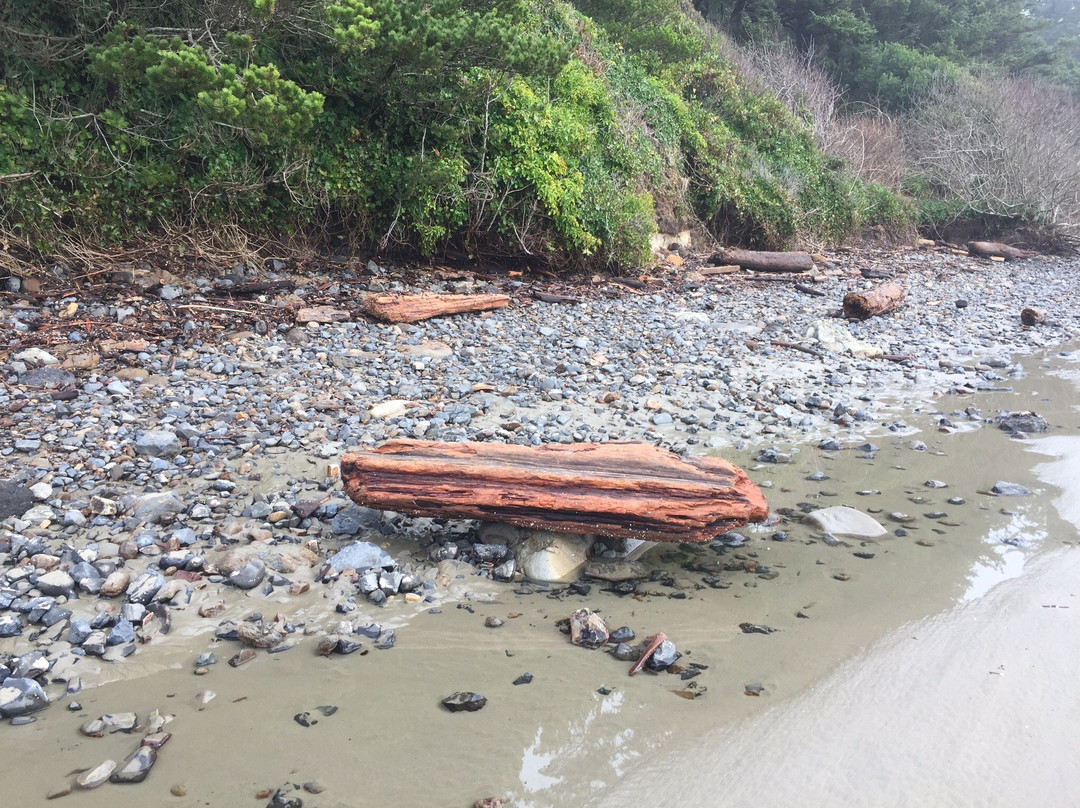 Agate Beach State Recreation Site-纽波特必去景点