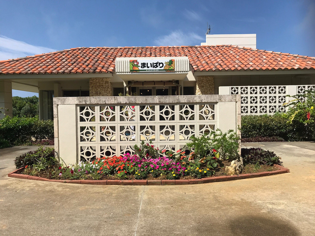 Maipari Miyakojima Island Tropical Fruit Park-宫古岛市必去景点