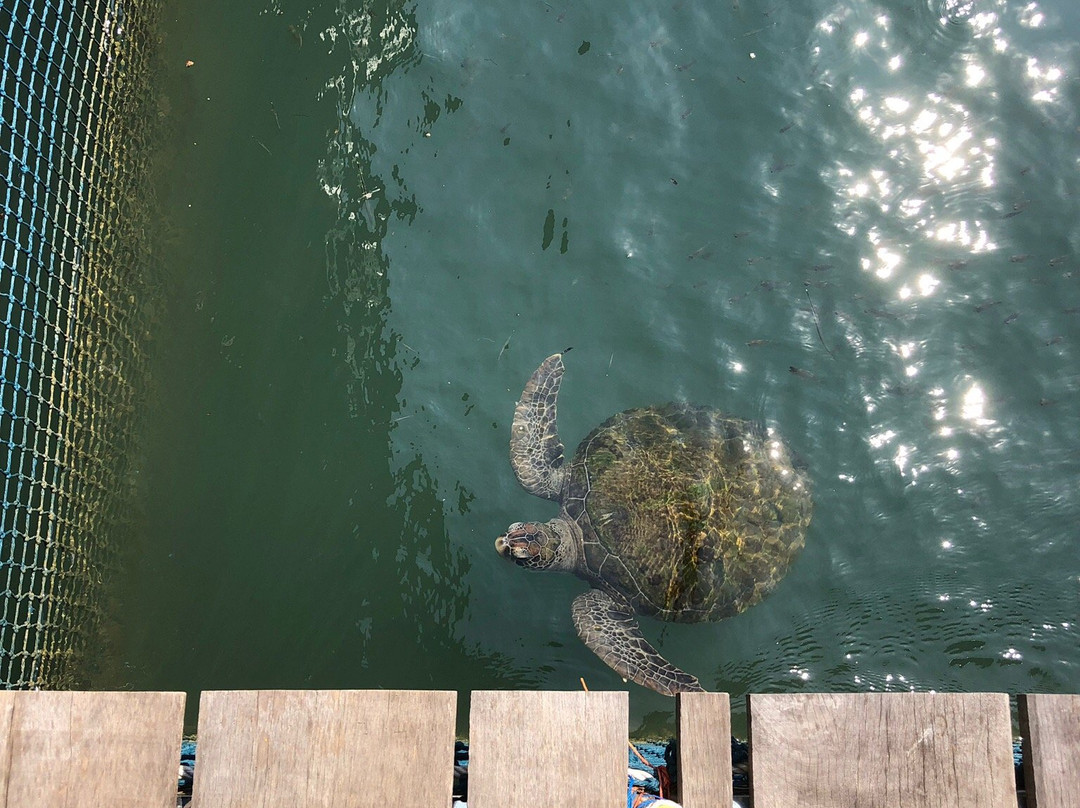 Sea Farming Demonstration Unit-尖竹汶必去景点
