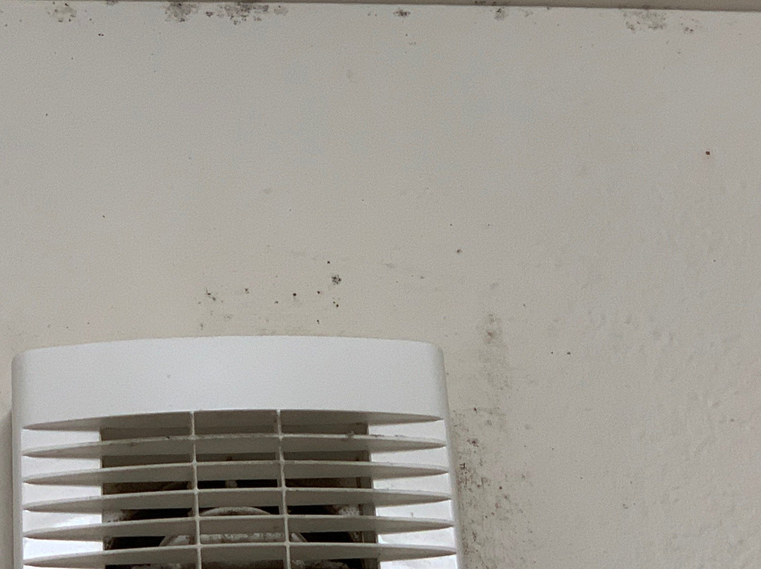 巴瑟斯特汽车旅馆主图