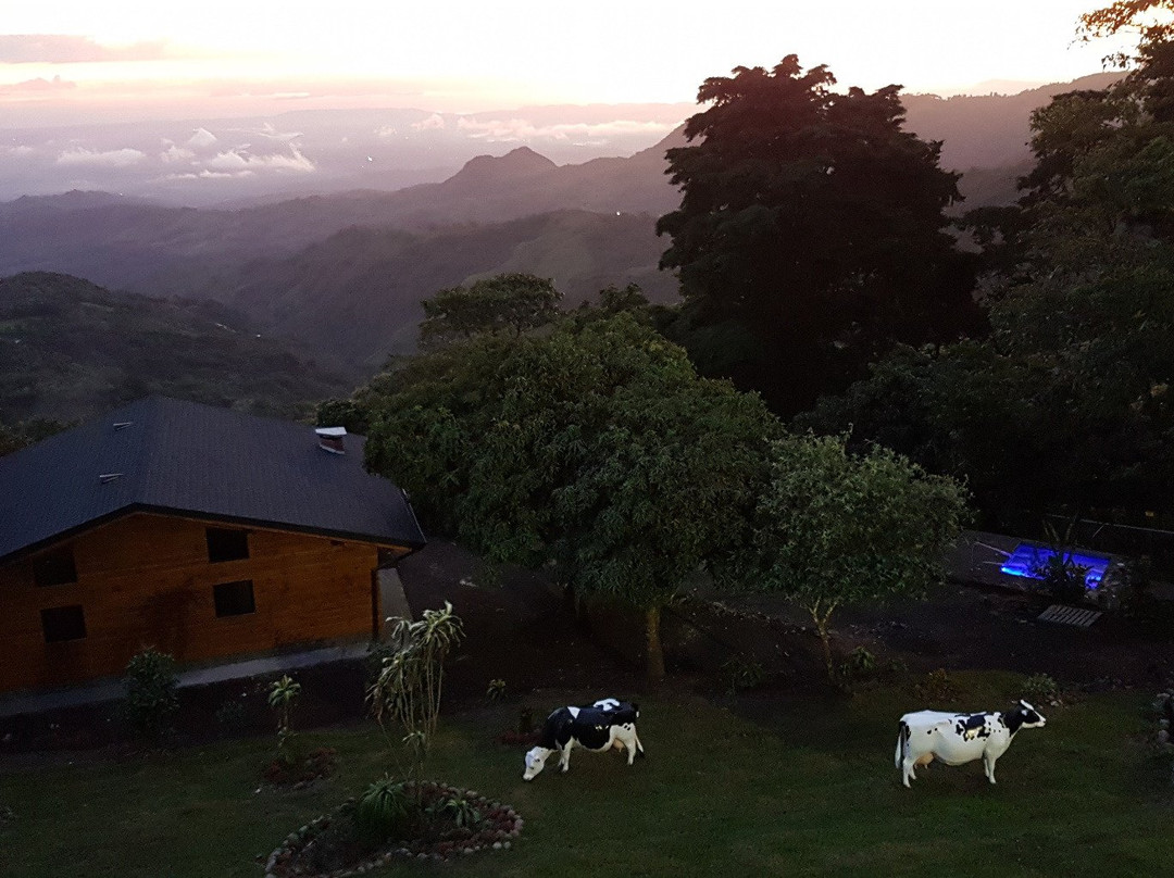 HelveTico Chalets and Reserve主图