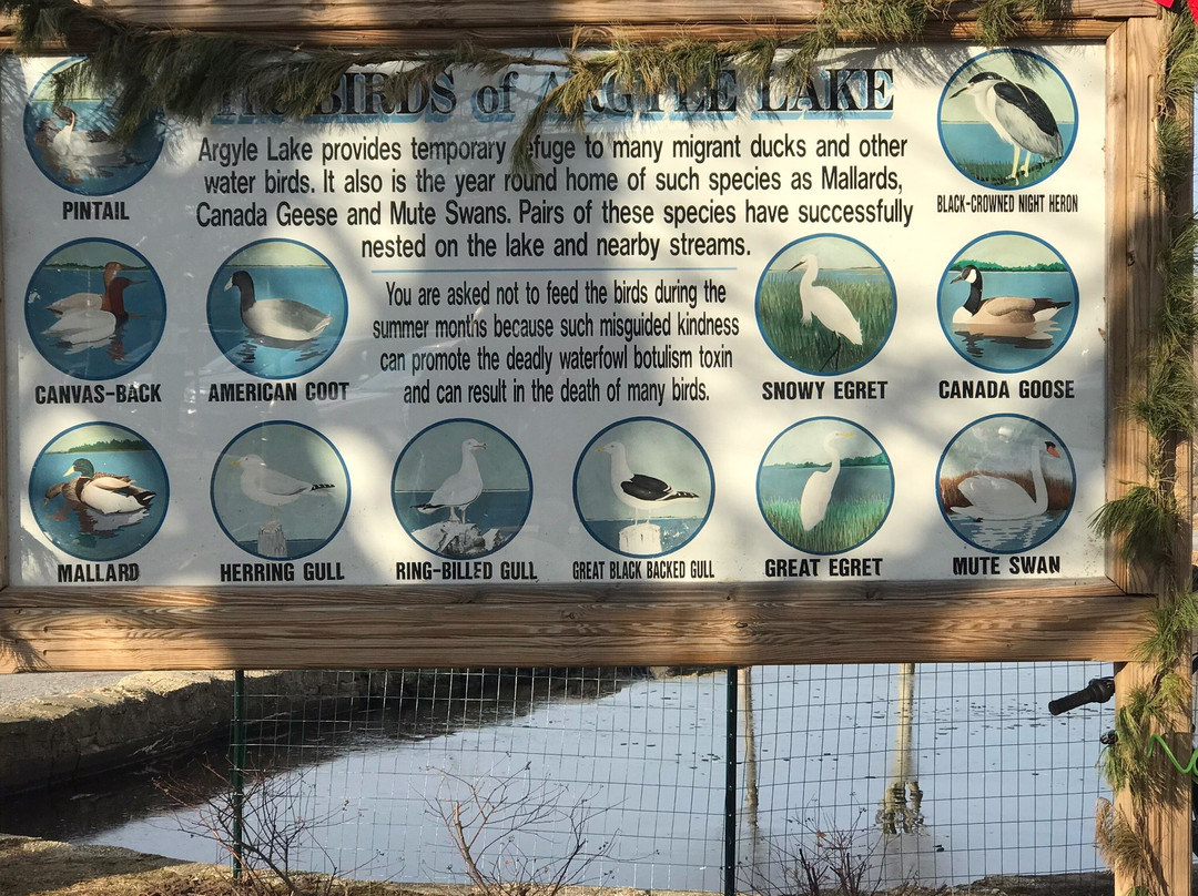 Argyle Park-Babylon必去景点