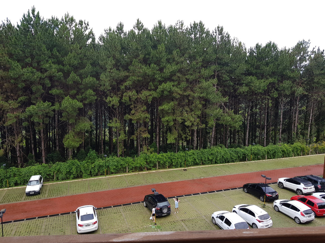 Vista Azul Hotel主图