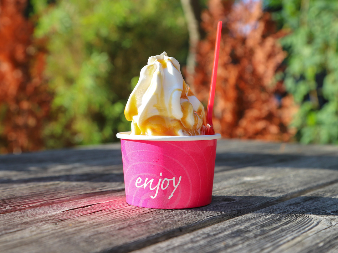 Hollviken餐馆和美食-Kanalkiosken