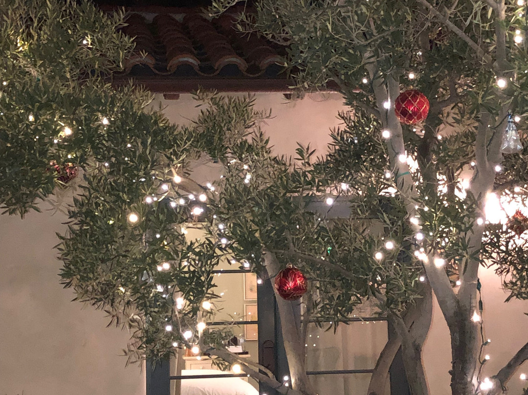 Su Nido Inn - Your Nest In Ojai主图