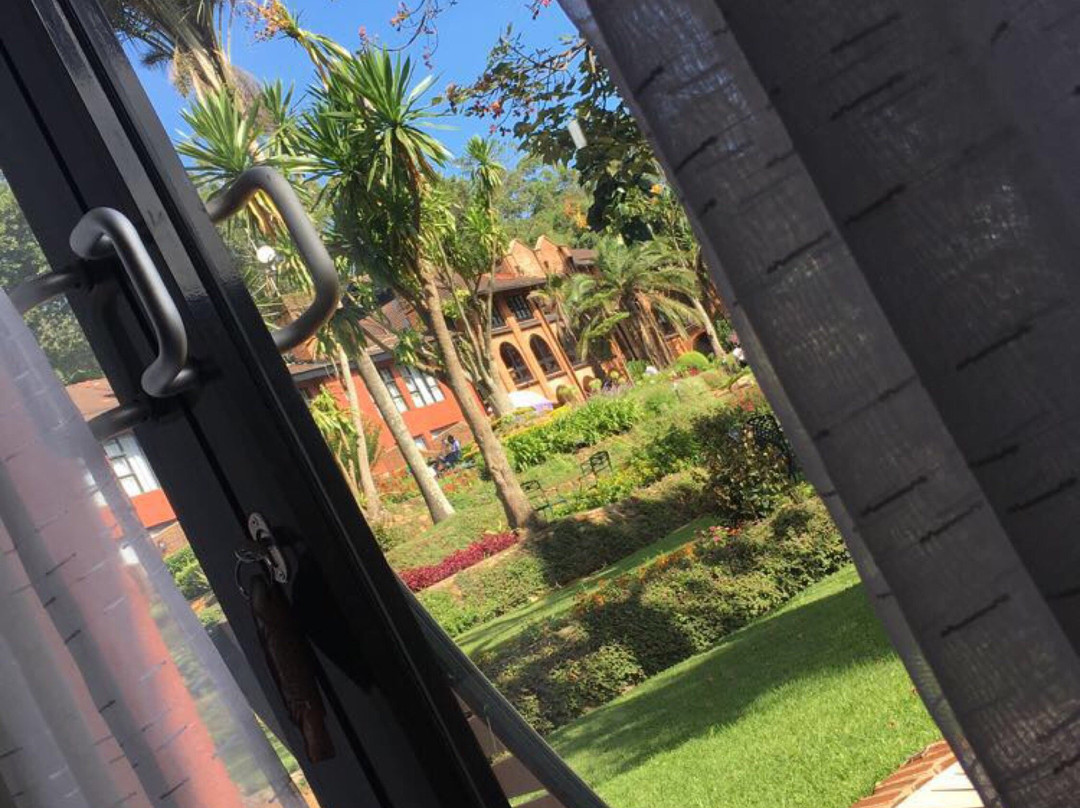 Sunbird Ku Chawe主图