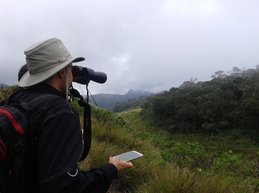 Eddy's Expeditions景点图片