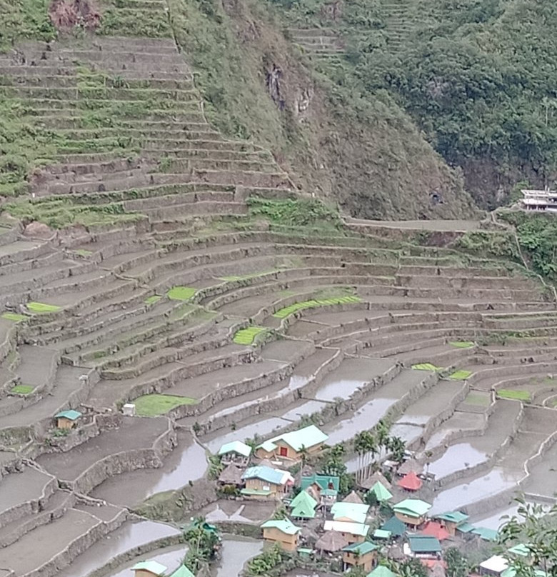 Batad View Inn and Restaurant主图