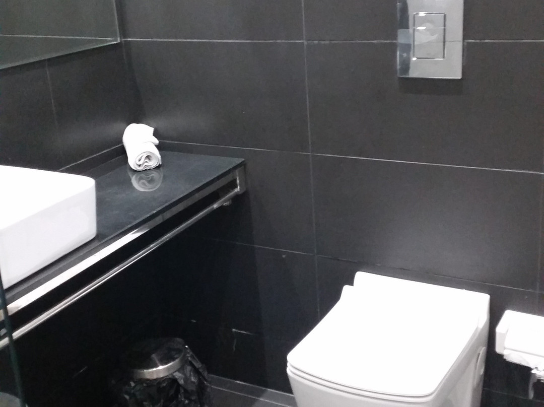 Mohan Tulip Hotel主图