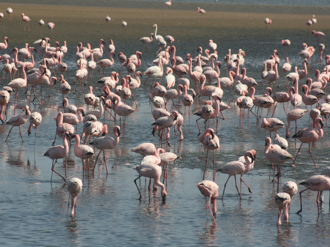 Long Beach Leisure Park-华维斯湾必去景点