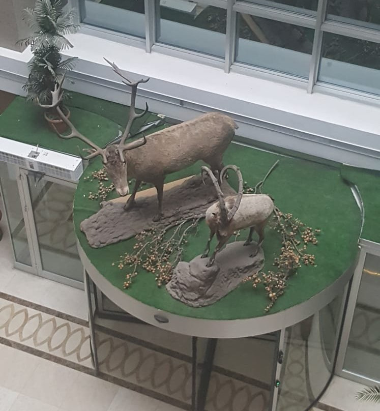 Binkap Resort Hotel主图