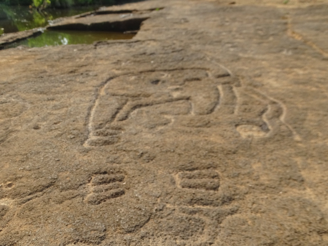 Prehistoric Rock Art Gallery-Rivona必去景点