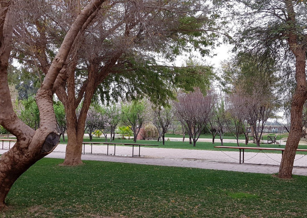 Upington African Vineyard Boutique Hotel & Spa主图