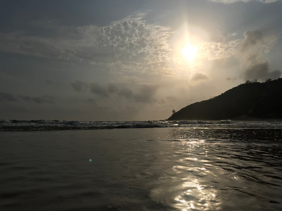 Underwater Explorers-Ponta do Ouro必去景点