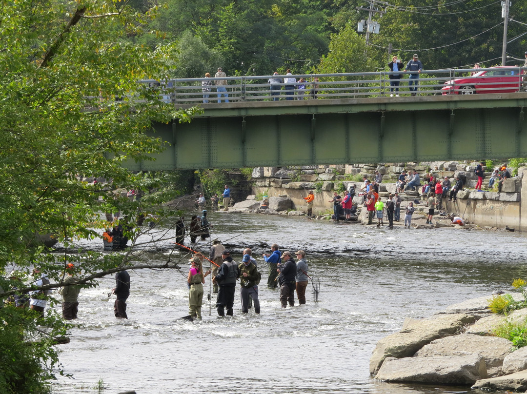 Salmon River景点图片