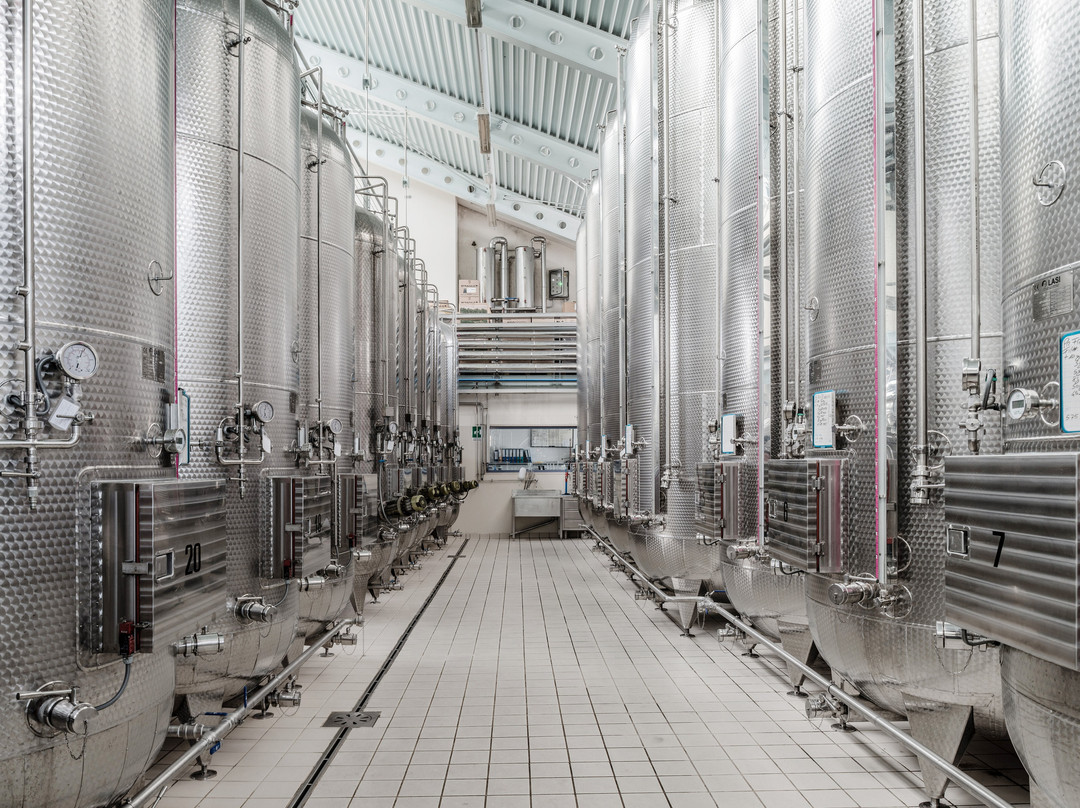Il Colle 1978 Azienda Vitivinicola-San Pietro di Feletto必去景点