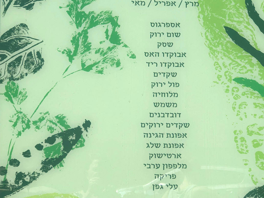 Shuk HaNamel-特拉维夫必去景点