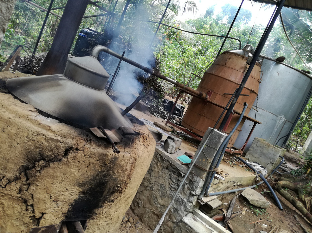 Green Lagoon-加勒必去景点