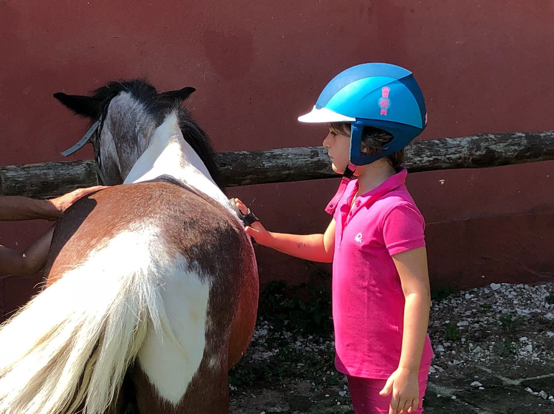 Lori Riding Centre-Manziana必去景点