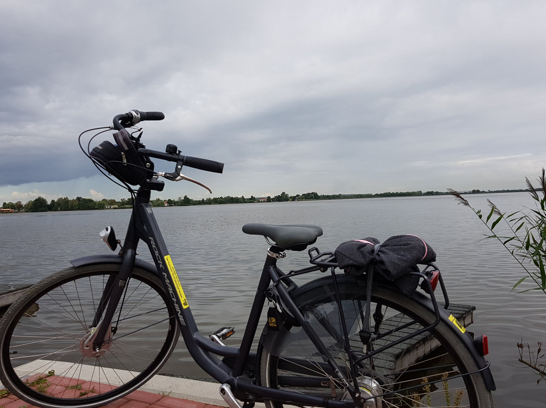 Bike & Scooter Rental Gouda-高德必去景点