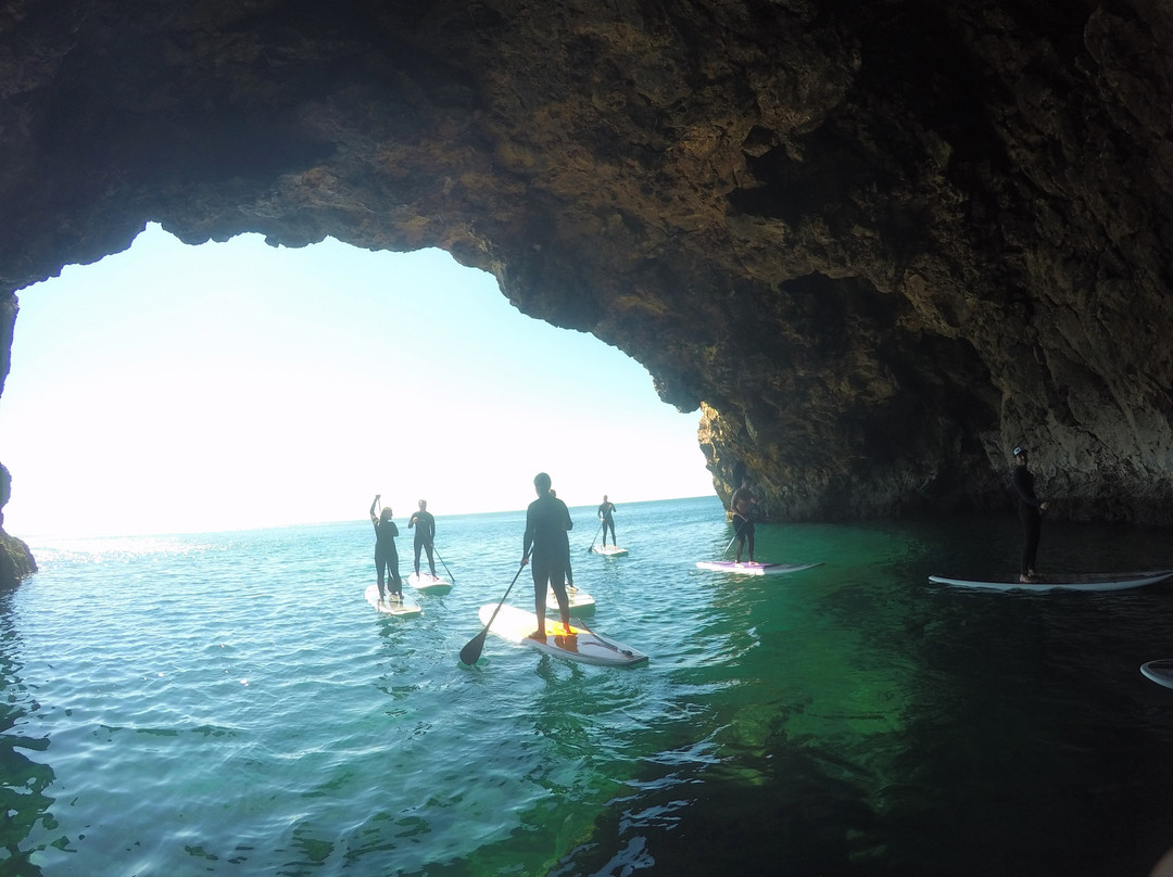 Freeride Surfcamp & School