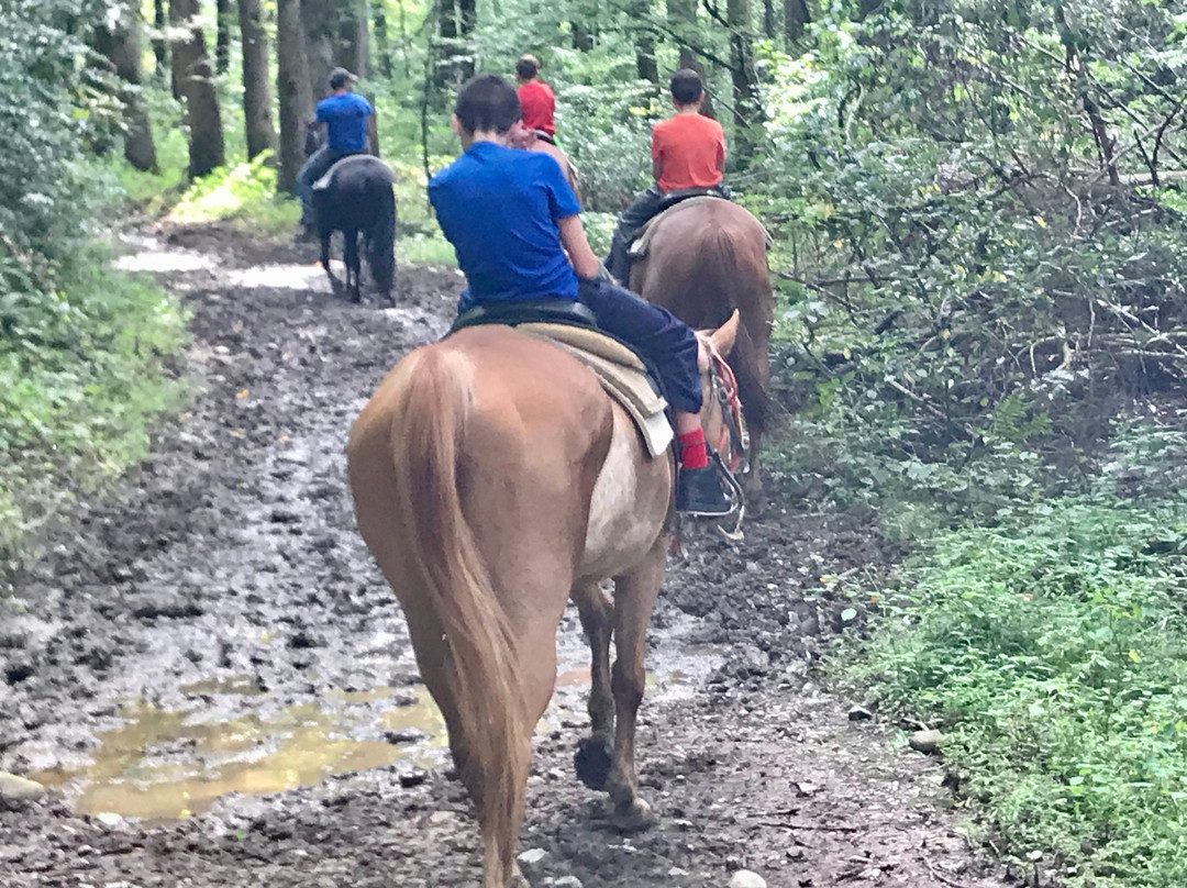 Smoky Mountain Riding Stables景点图片