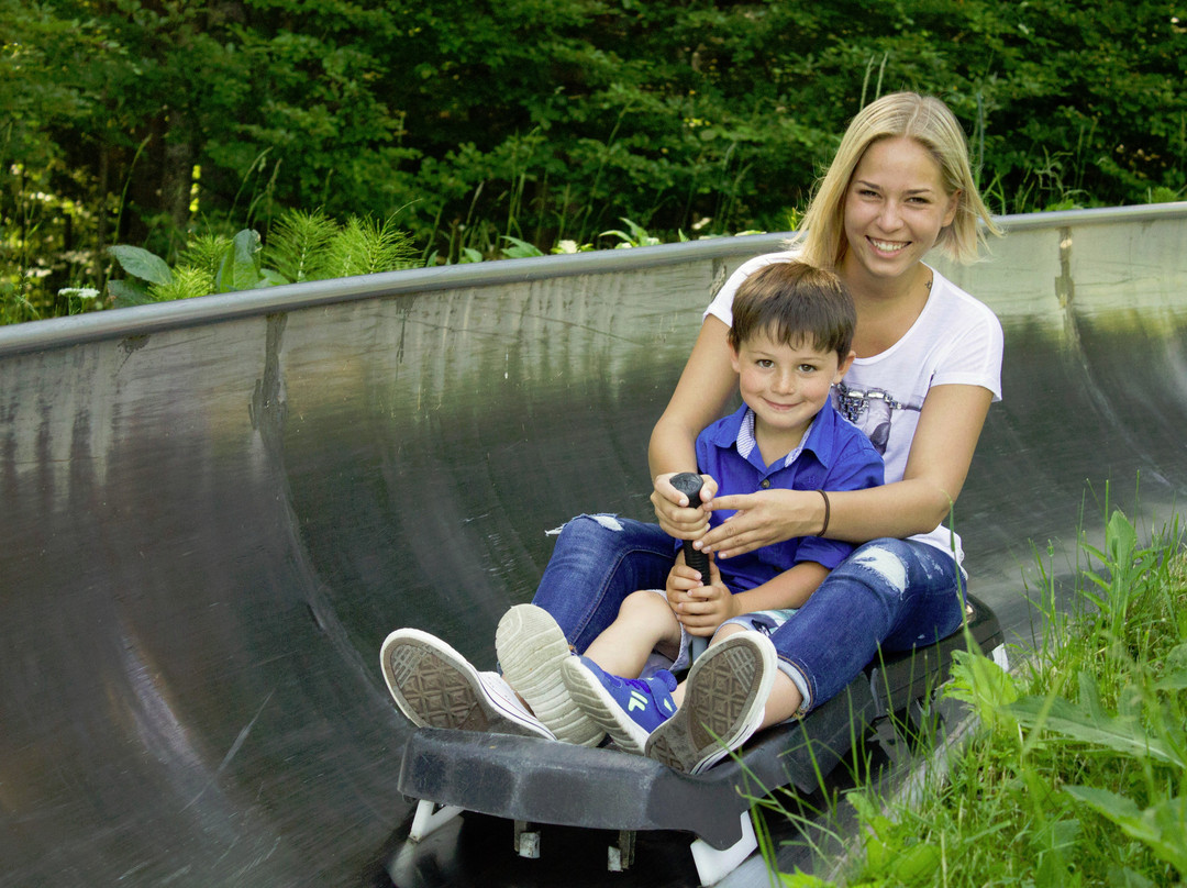Sommerrodelbahn Strobl-Strobl必去景点