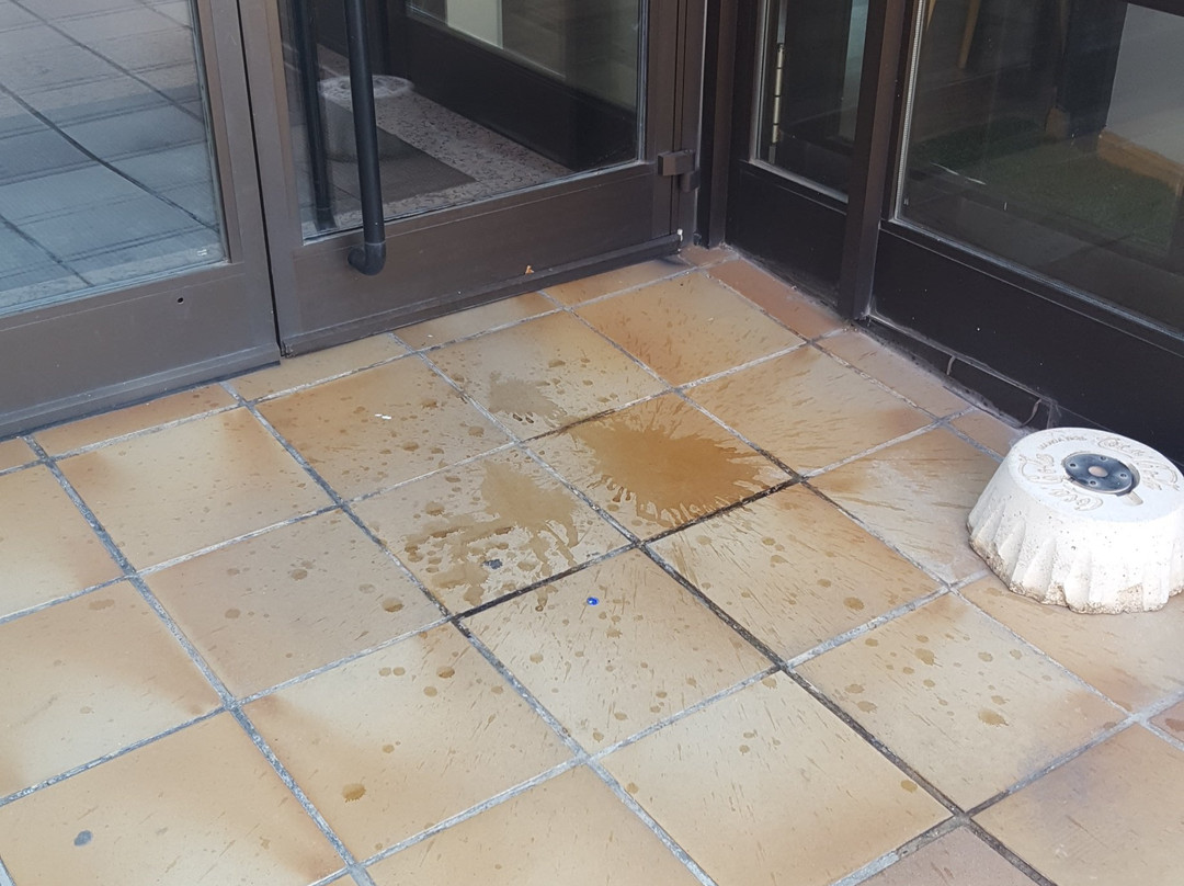 拉斯文塔斯酒店主图