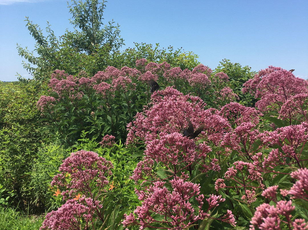 Eastern Neck Island-马里兰必去景点