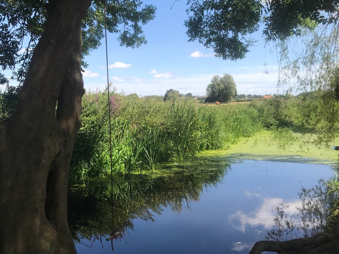 The Orchard Campsite